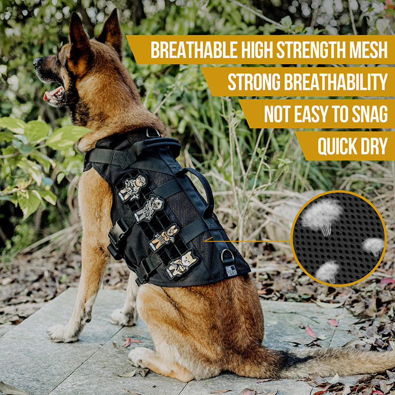 AIRE MESH BLACK: Breathable Mesh