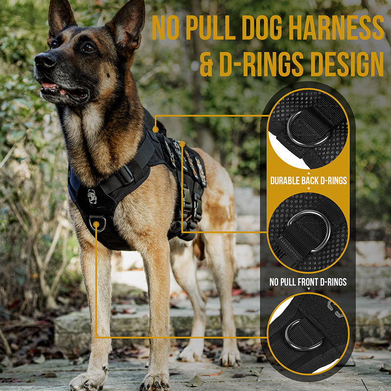 AIRE MESH BLACK: No Pull Dog Harness & D-Rings Design