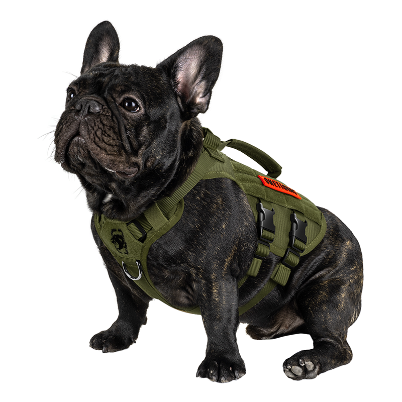 AIRE MESH RANGER GREEN: SMALL DOG SIZE