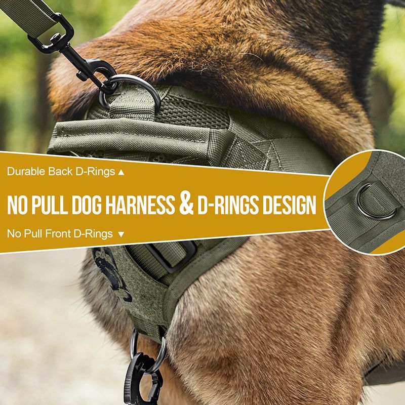 AIRE MESH RANGER GREEN: No Pull & D-Ring