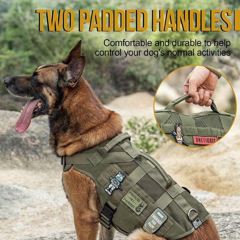 AIRE MESH RANGER GREEN: Two Padded Handles