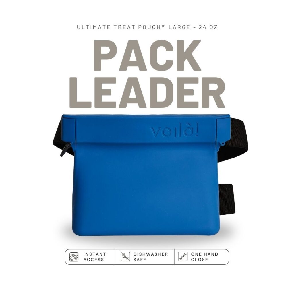 Large Ultimate Treat Pouch