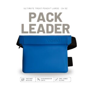 Large Ultimate Treat Pouch