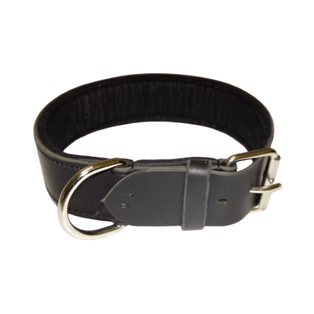 Leather Collar with Felt Padding