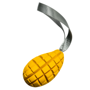 Mango Dog Toy